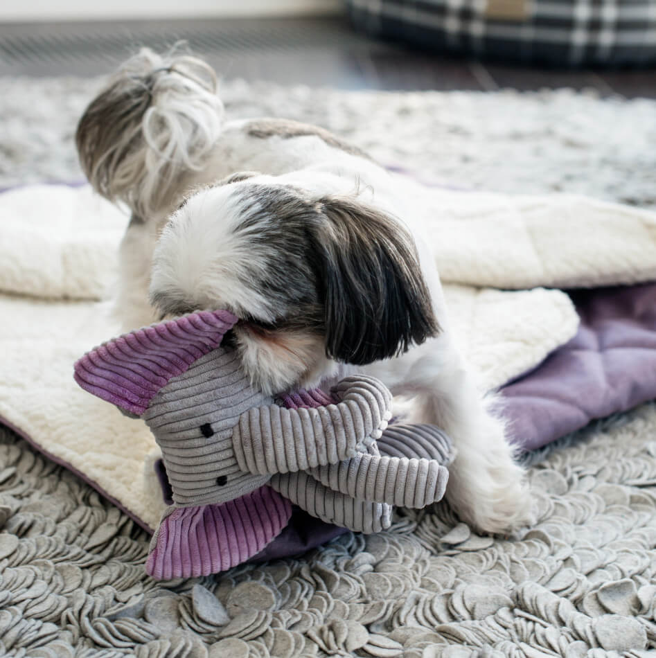 zabawka dla psa dumbo legowisko spiworek dreamy liliowy