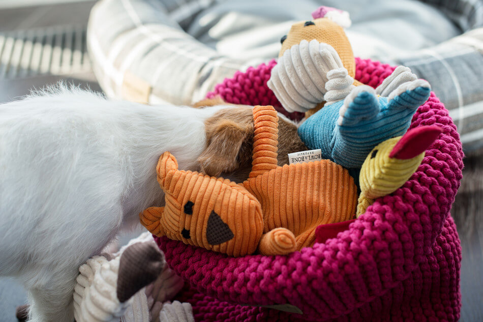 zabawka dla psa felix duckie roy baxkosz na zabawki cotton rozowy
