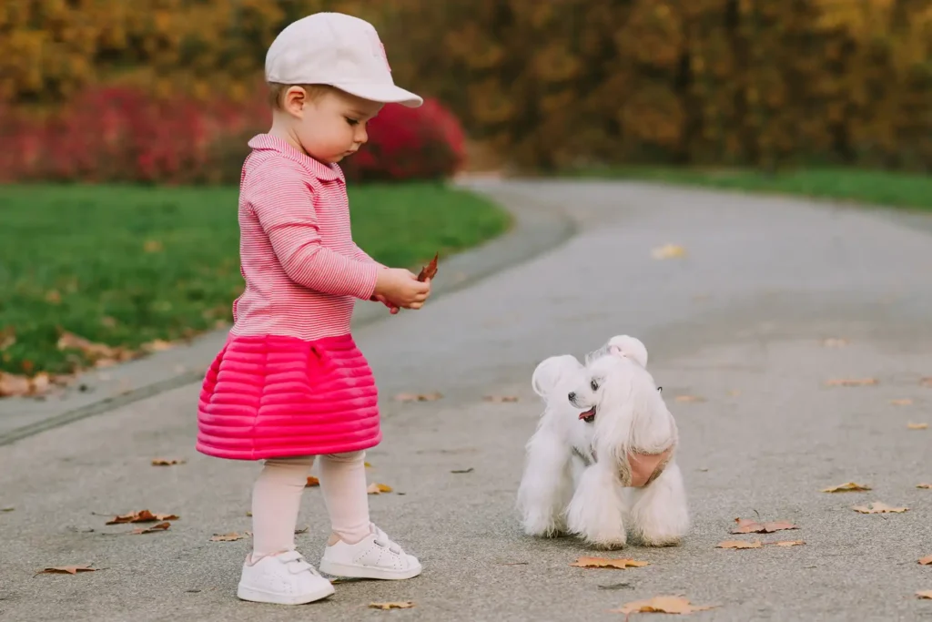 dziecko na spacerze z psem