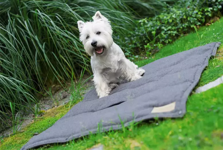 legowisko mata dla psa loft graphite bowlandbonerepublic west highland white terrier