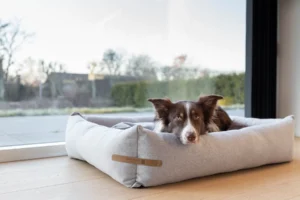 legowisko dla psa loft szare przy oknie