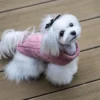 sweterek dla psa aspen rozowy na tarasie