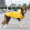 plaszczyk przeciwdeszczowy dla psa storm zolty na spacerze