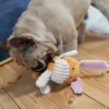 pies gryzie zabawkę