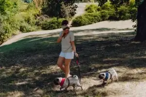 dwa psy na smyczy z opiekunkÄ… na spacerze