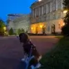 pies na spacerze w mieście wieczorem